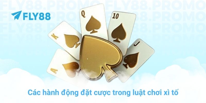 Các hành động đặt cược trong luật chơi xì tố